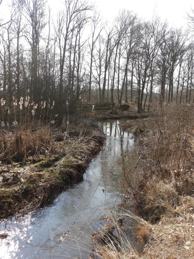 Bospareltjes Luxe Chalets Alleen Voor Recreatie Oisterwijk Kültér fotó