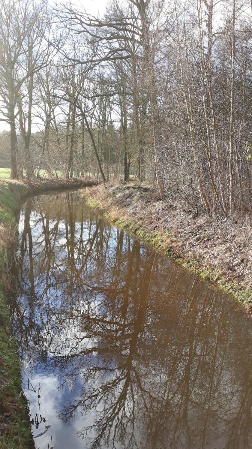 Bospareltjes Luxe Chalets Alleen Voor Recreatie Oisterwijk Kültér fotó