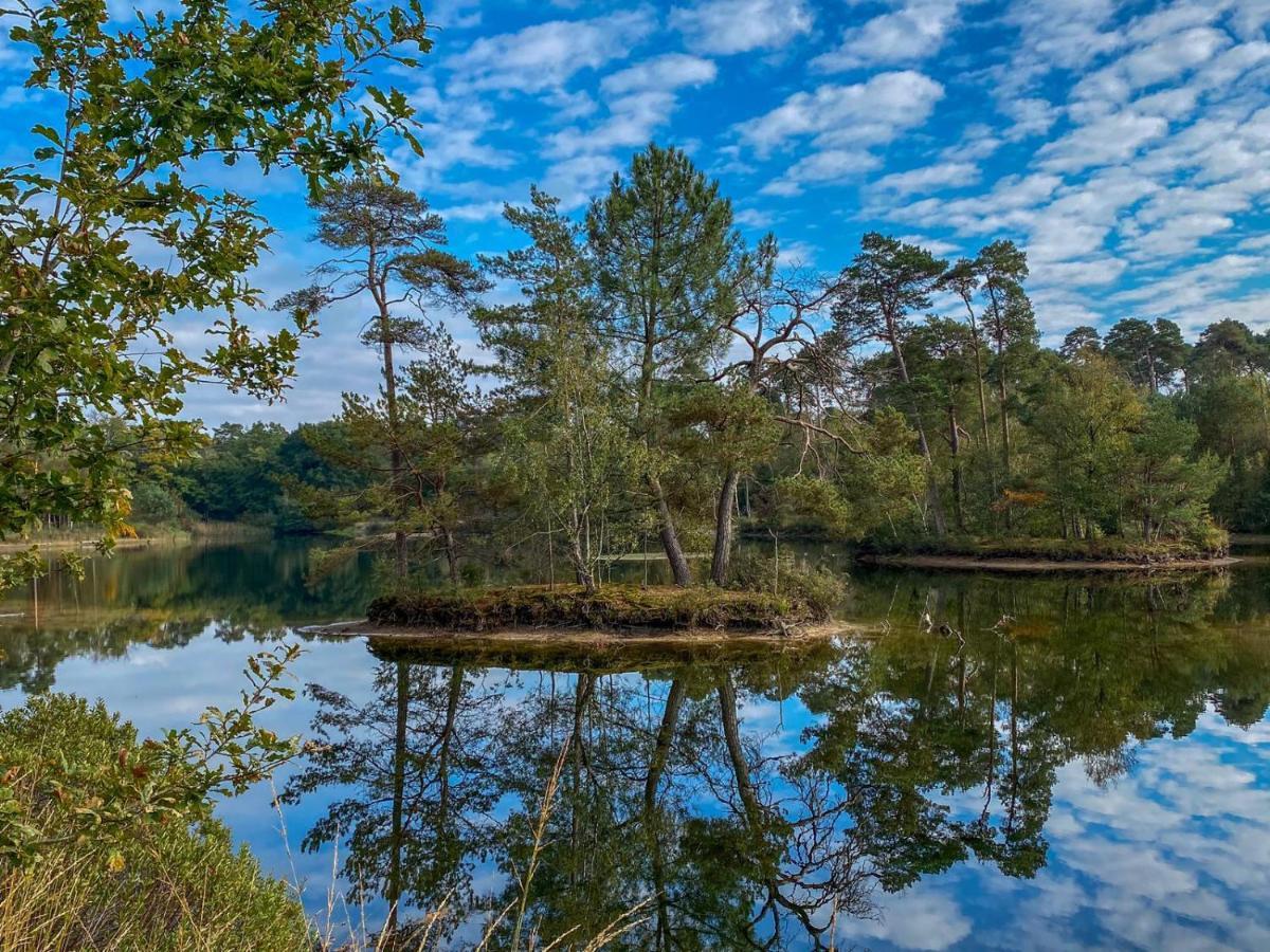 Bospareltjes Luxe Chalets Alleen Voor Recreatie Oisterwijk Kültér fotó